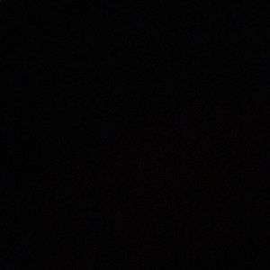 Meet your Posher, Dylan